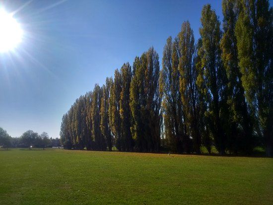Knighton Park