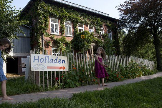 Friesische Schafskäserei