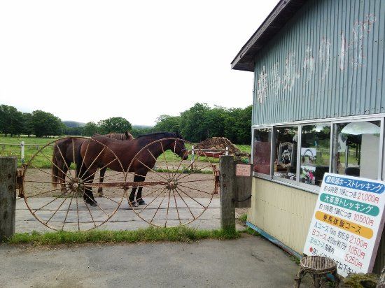 Kawayu Park Ranch