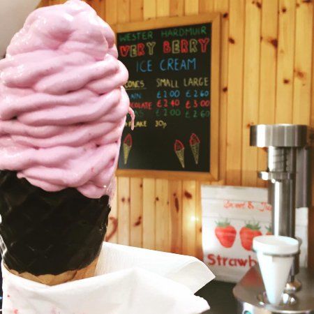 Wester Hardmuir Fruit Farm