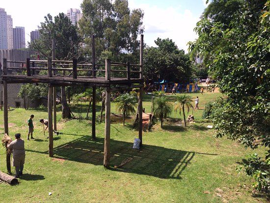 Grupo Escoteiro Ibiraguaçu