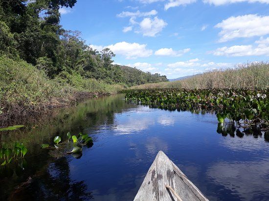 Pantanal de Marimbus