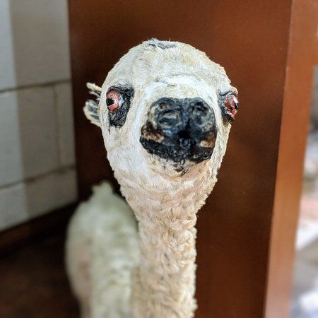 Museo Fray Enrique Mideros