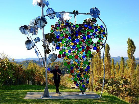 Die größte Traube der Welt am Eory-Kogel