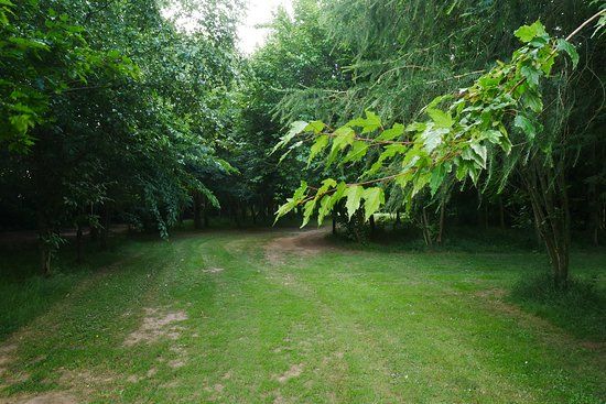 Millennium Arboretum