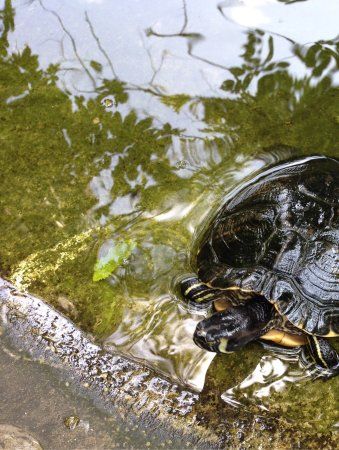 Cjase Cocel museo della vita contadina