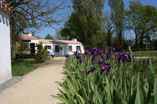 musée Charles Milcendeau