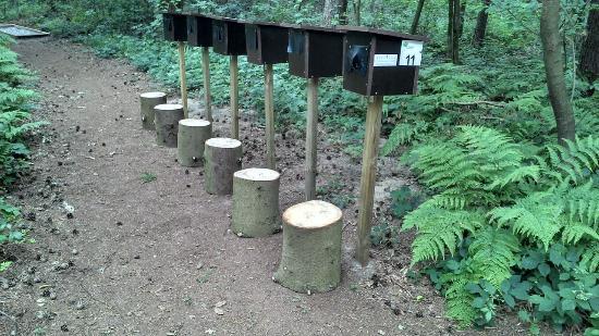 Barfußpark Harkebrügge