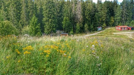 Hemlingby friluftsområde