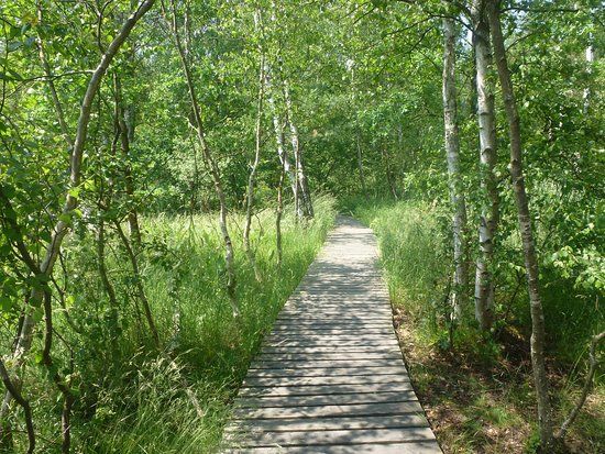 Soos National Nature Reserve