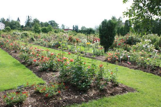 Poltsamaa Rose Garden