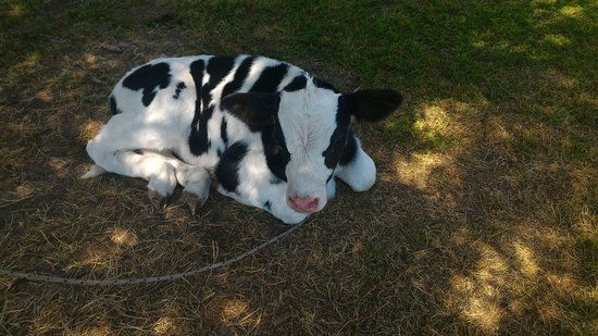 Granja La Administración