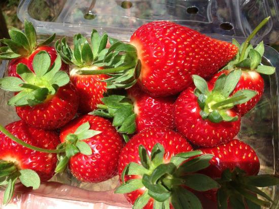 Sitio Heranca Agroturismo