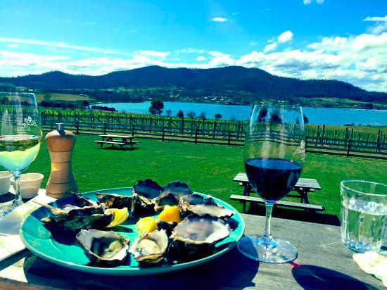 Bangor Vineyard Shed