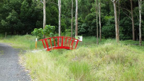 Lismore Rainforest Botanic Gardens