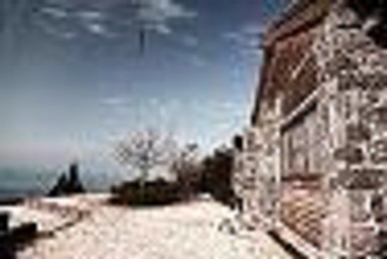 Habikta in the peace Vista