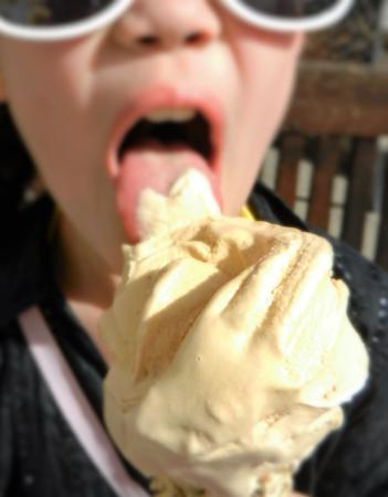 Il Gelato Di Michele