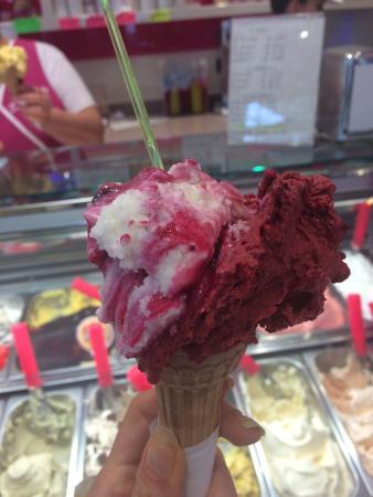 Gelateria Lo Scoiattolo