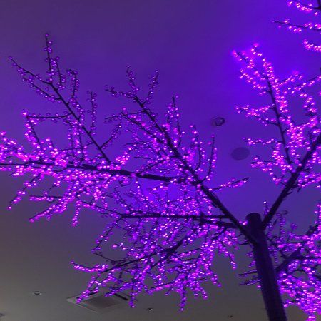 Kampeki Oriental Fast-Food