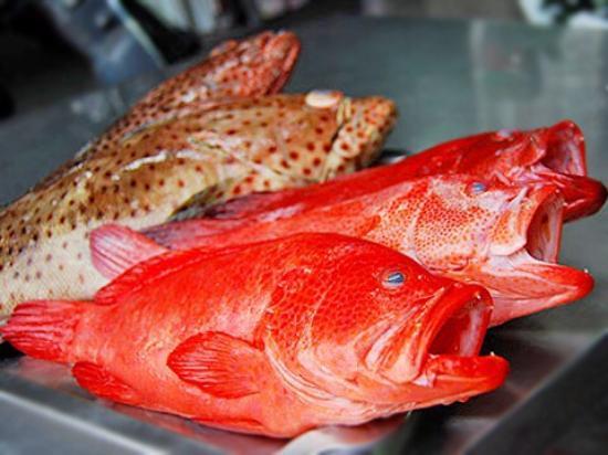 A Ding Deep Sea Fish Soup