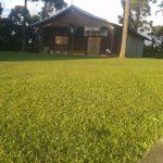 Pastelaria Bom Gosto