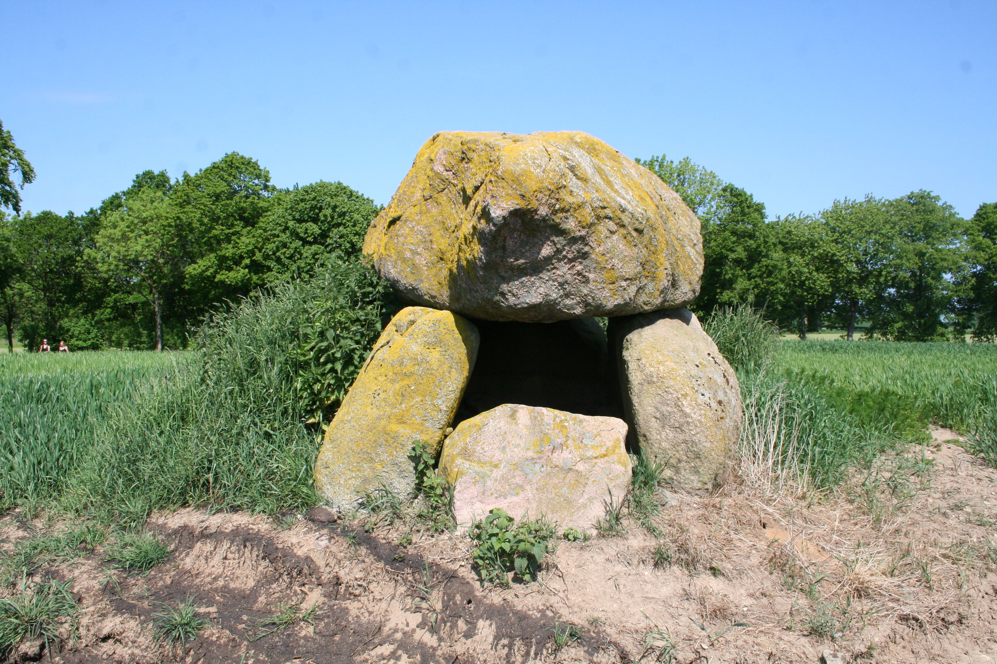 Dolmen bei Birkenmoor