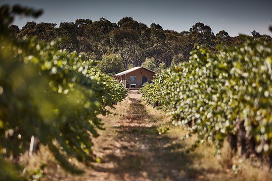 Balgownie Estate Bendigo Restaurant