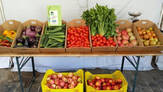 Ristorante dell'Agriturismo Terra e Vita