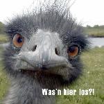 Lindenhotel Restaurant