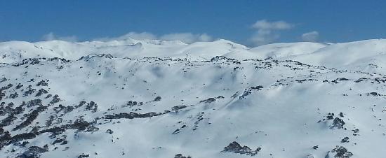 Burning Log Restaurant