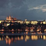 Pizza Nation Chicken Princess