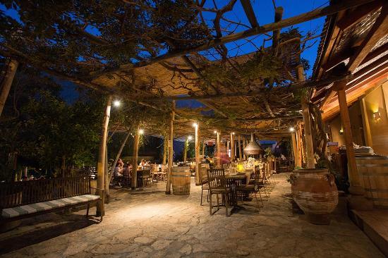 Restaurant Destileria Pisco Mistral