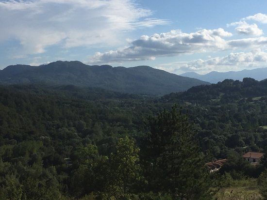 La Bottega del Dolce Il Gelato Artigianale