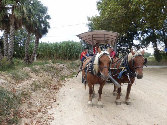 Les Balades Gourmandes des Calèches Catalanes