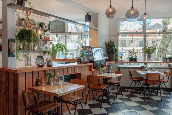 Catootje aan de Markt