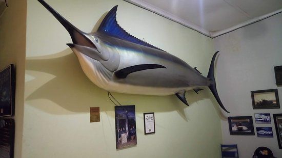 Hoedspruit Diepsee Hengel Klub