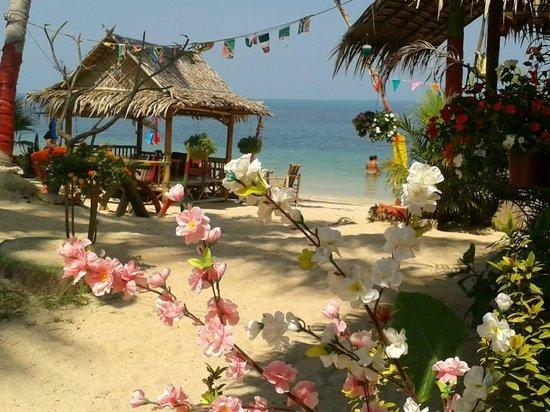 King Busch Reggae Beach