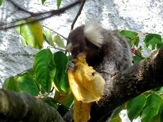 Restaurante & Lanchonete do Nono