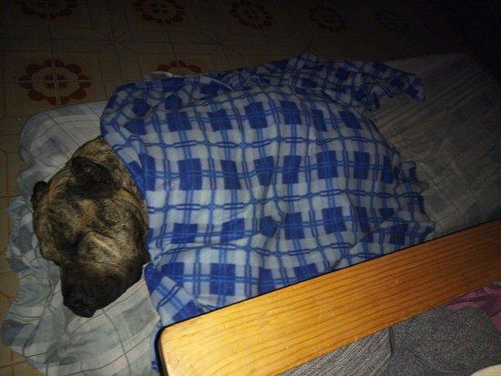 Frankfurt Cerveseria l'Arcada