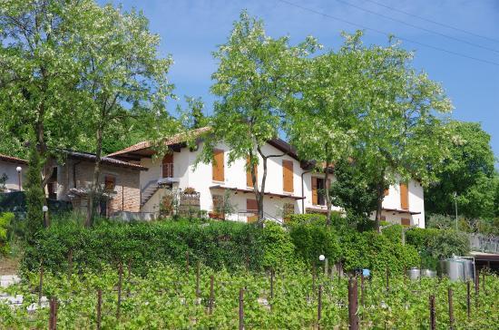 Agriturismo Casa Villi