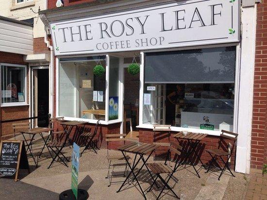 The Rosy Leaf