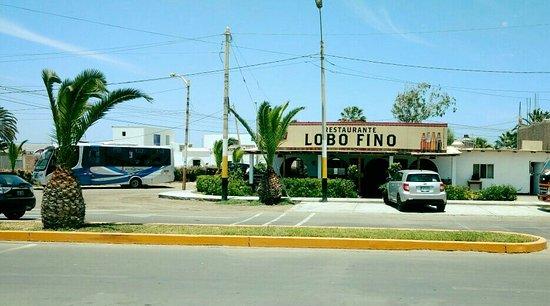 Lobo Fino Restaurant