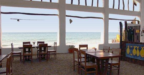 Majariscos Canoas de Punta Sal