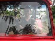 Bar e Mercearia Da Estrada