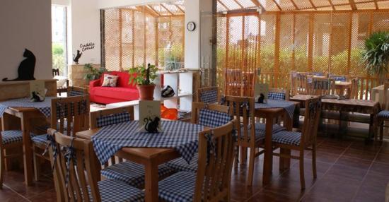 The Purrfect Cuppa English Tea Room