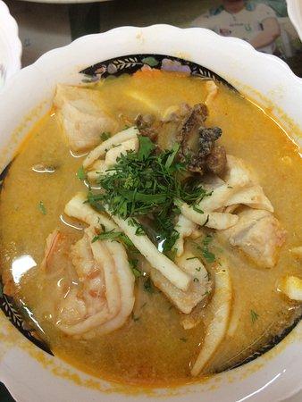 El gato portovejense