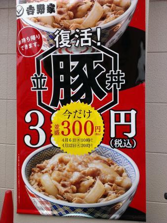 Yoshinoya Nagaikoen Dori