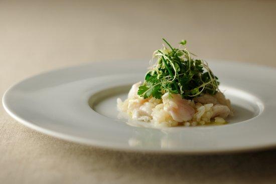 Miyajima Bocca Al Checciano