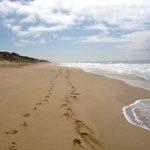 Grand Café Van Berensteyn