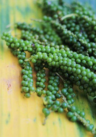 Euphoria Spice and Herbal